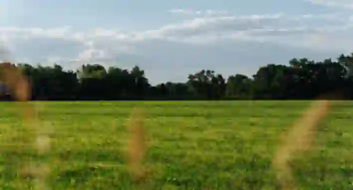 Vision Slider 4